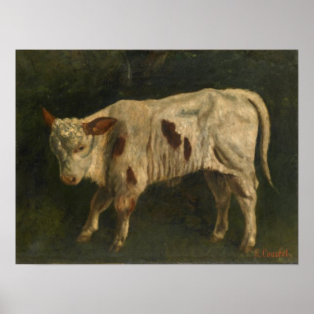 Courbet - Das Kalb Poster (Vorne)