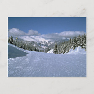 Courchevel, Frankreich, Zuhause des Skiareals Tree Postkarte