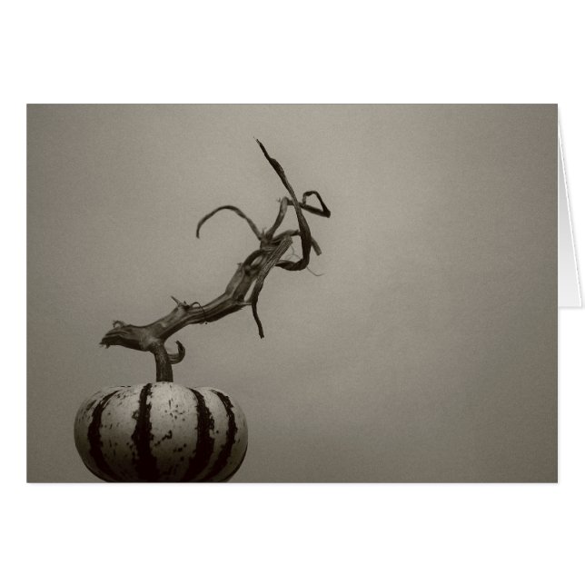 "courge" par Larry Coressel (Devant horizontal)