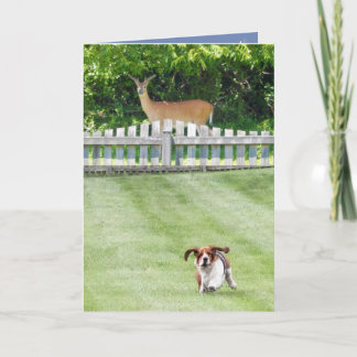 Courir Basset & Cerf Sur Une Carte D'Anniversaire 
