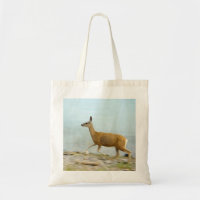 Courir le sac à dos