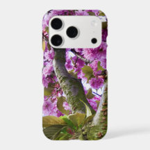 Couronne d'arbre en fleurs rose estivale Photo -