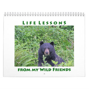 Cours de vie Calendrier animal