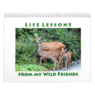Cours de vie Calendrier animal sauvage
