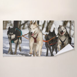 Course de chiens de traîneau Husky