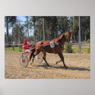 Course de harnais Impression