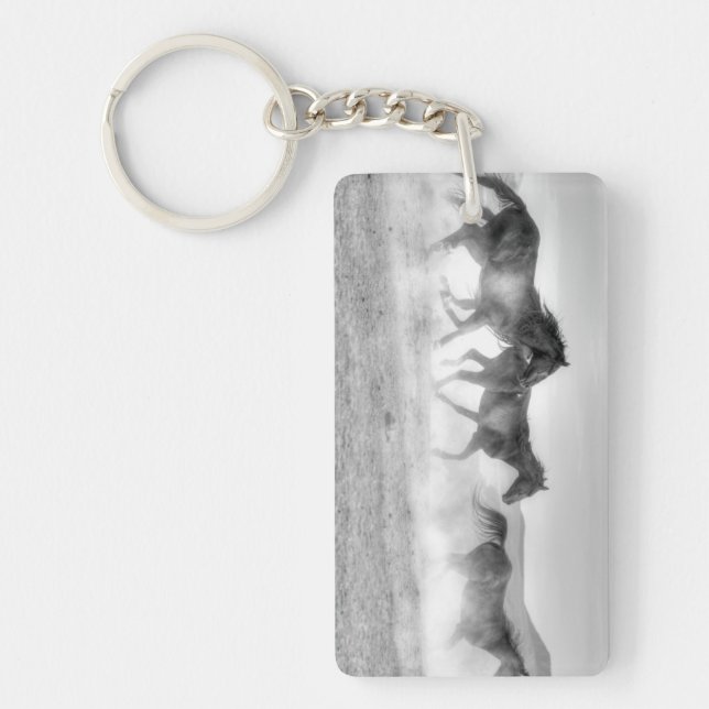 Course de mustang (Devant)