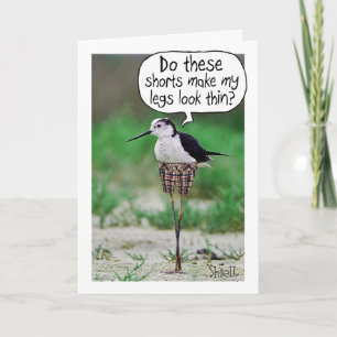 COURSES D'OISEAU FUNNY Carte ou cadeau