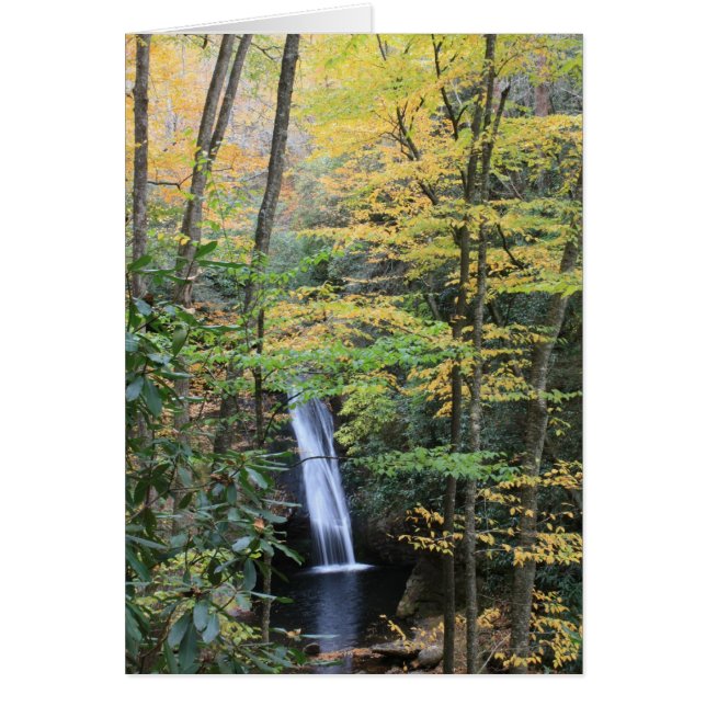 Courthouse Falls (Vorne)