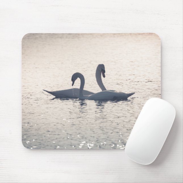 Courting Swans Nature Foto Mousepad (Mit Mouse)