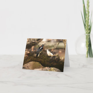 "Courtoisie" (Pic Downy) - Carte de note blanche