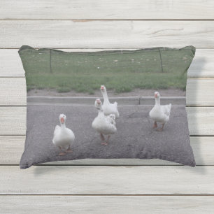 Coussin