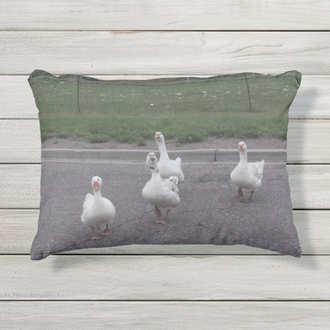 Coussin (Devant)