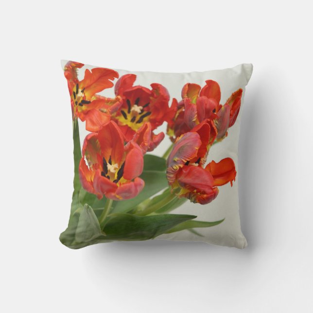 COUSSIN チューリップの赤 (Recto)