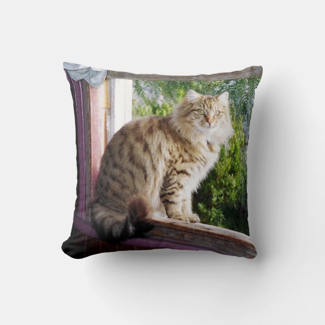 Coussin 16" de polyester x 16" - Shirl dans la (Recto)