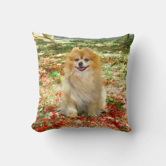 Coussin 2 fleurs mignonnes de rouge de chien de Pomeranian (Recto)