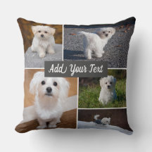 5 Photo Collage Animaux de compagnie Photo Gris pe