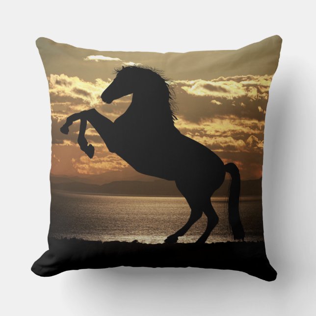 coussin à cheval couché de soleil (Recto)
