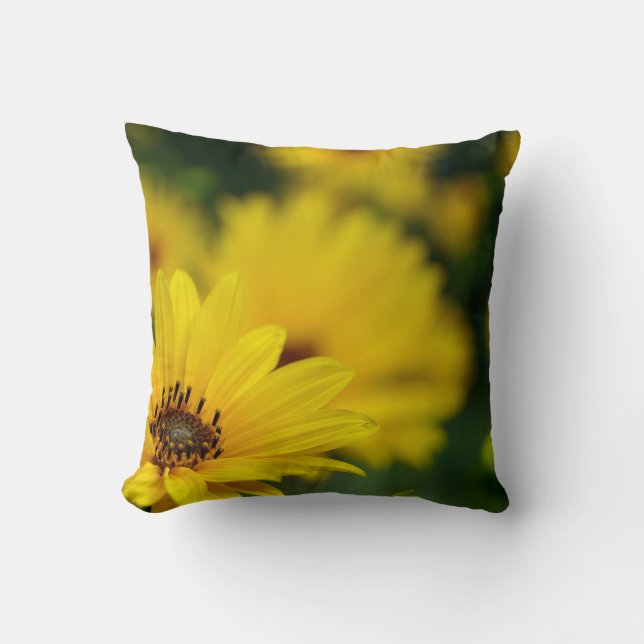 Coussin à lancer d'hélium de marguerite jaune (Recto)