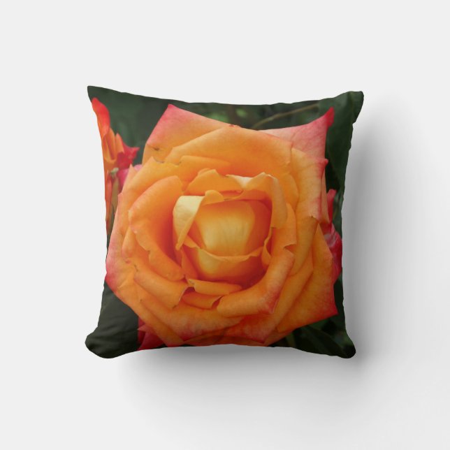 Coussin à lancer rose (Recto)