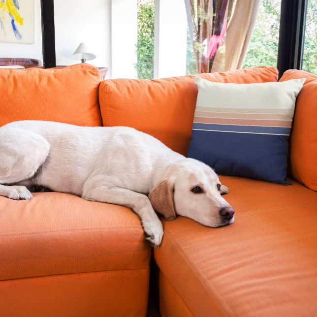 Coussin à rayures bleu rétro et bracelet (Retro striped pillow is perfect for humans and doggos!)