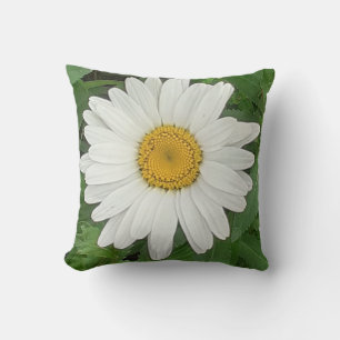 Coussin à rayures de marguerite blanche