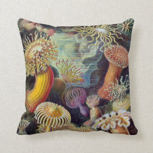 Coussin Actiniae par Ernst Haeckel