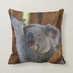 Coussin adorable d'ours de koala