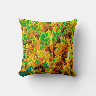 Coussin Afrique Désert Cactus Plantes Prickly Pear