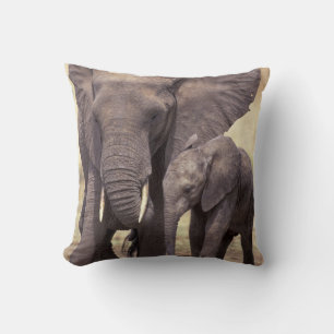 Coussin Afrique, Tanzanie, Parc national de Tarangire. 2