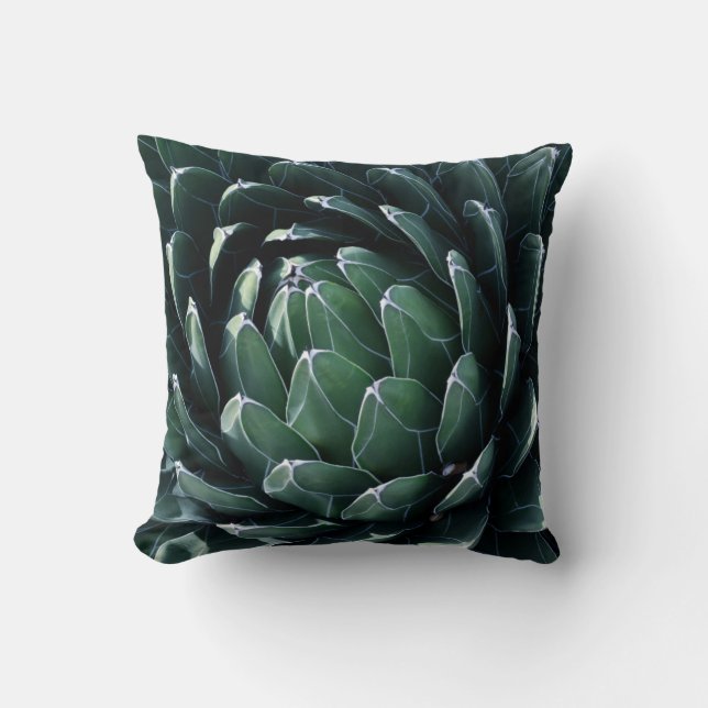 Coussin Agave vert (Recto)