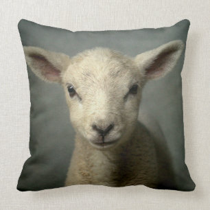 Coussin Agneau nouveau-né