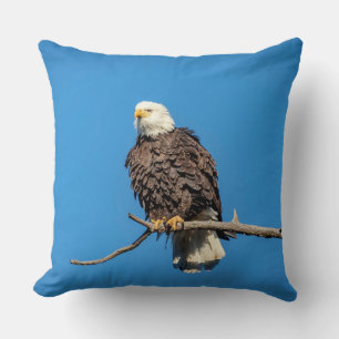 Coussin Aigle à tête blanche sur une branche d'arbre