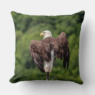 Coussin Aigle de Bald sur une branche
