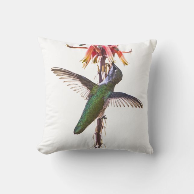 Coussin Ailes de colibri (Recto)