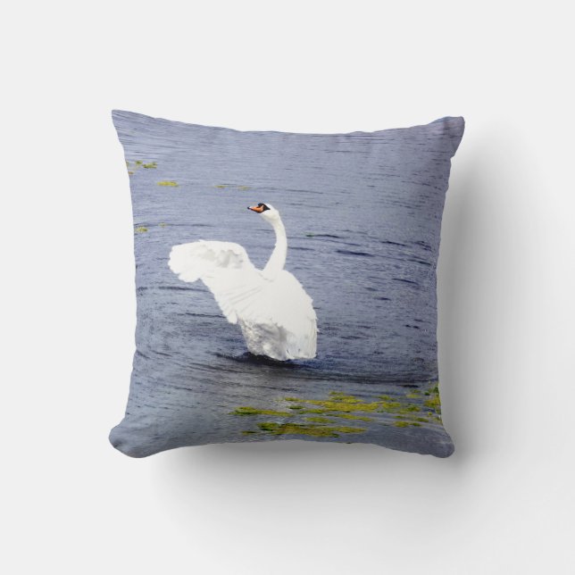 Coussin Ailes de cygne tuberculé (Recto)