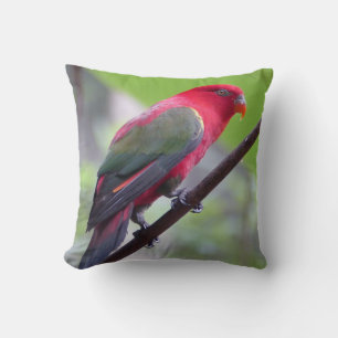 Coussin Ailes d'oiseau Branches Jardin de printemps Foi