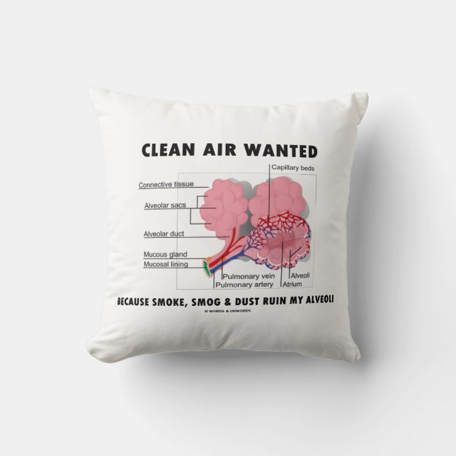 Coussin Air pur Recherché parce que fumée Ruine Alveoli Hu (Recto)