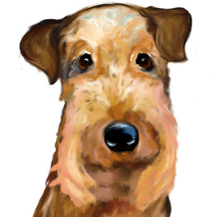 COUSSIN AIREDALE TERRIER