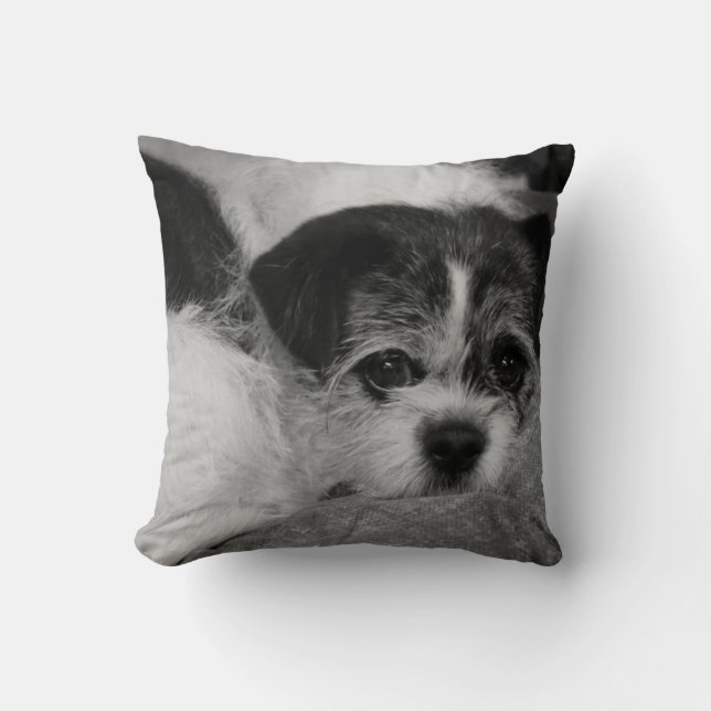 Coussin Ajoutez le carreau de photo d'animal familier (Recto)
