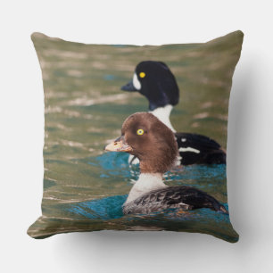 Coussin Alert Goldeneye