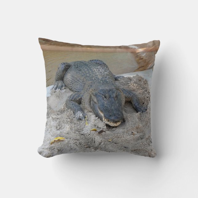 Coussin Alligator, Fort Lauderdale, Floride (Recto)