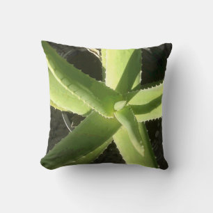 Coussin Aloe Plante