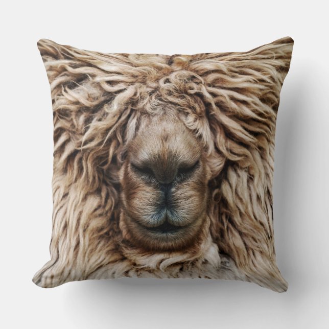 Coussin Alpaca (Recto)