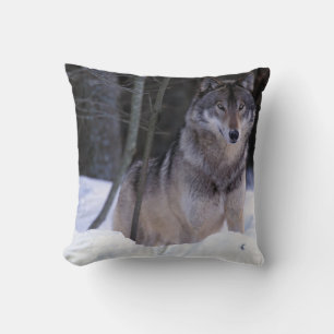 Coussin Amérique du Nord, Canada, Est du Canada, Loup gris