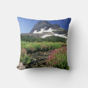 Coussin Amérique du Nord, États-Unis, Montana, Glacier Nat