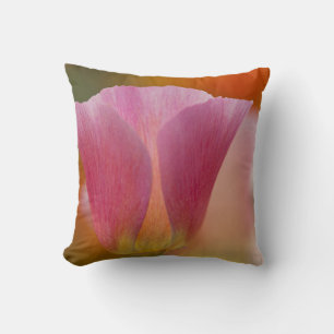 Coussin Amérique du Nord, États-Unis, Washington, Seattle,