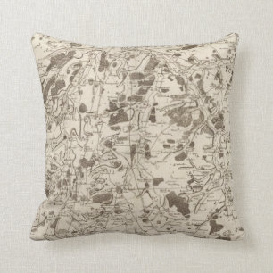 Coussin Amiens
