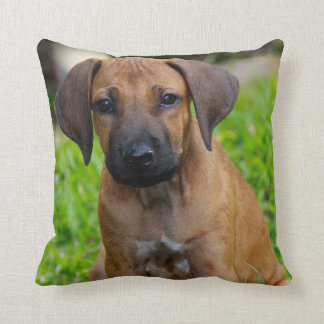 Coussin Amour de chiot IV