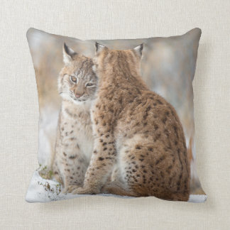 Coussin Amour de Lynx